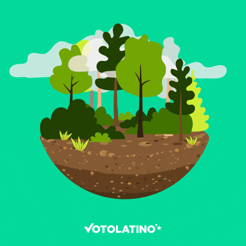 flowers earth GIF by Voto Latino