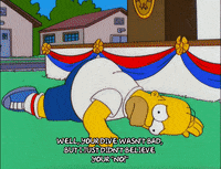 episode 9 homer GIF