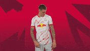Sport Shrug GIF by RB Leipzig