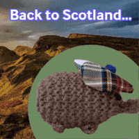 Scotland Scottish GIF by TeaCosyFolk