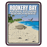 Aquatic Preserve Sticker by FLDEP