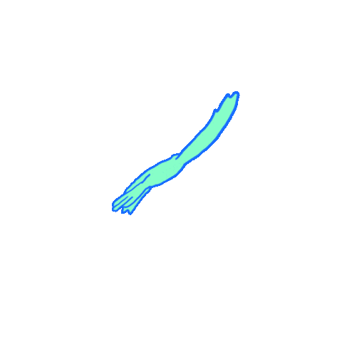 Flying Table Mountain Sticker by Shane Beam