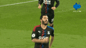 Southampton GIF by MolaTV