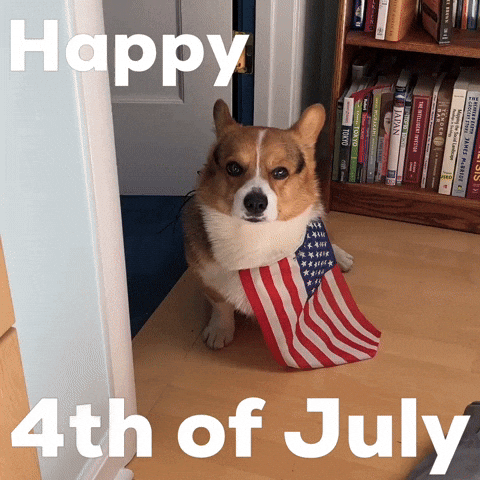 Happy 4Th Of July GIF