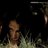 Texas Chainsaw Massacre Film GIF by Arrow Video