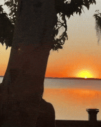 Sunset Lover Wow GIF