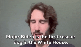 Josh Groban Animal Adoption GIF by GIPHY News