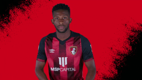Football Winning GIF by AFC Bournemouth