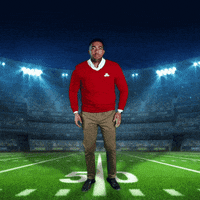 Football Touchdown GIF by State Farm