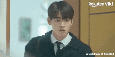 Cha Eun Woo Kdrama Couple GIF by Viki