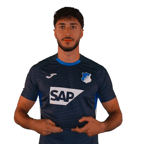 Sport Bundesliga Sticker by TSG Hoffenheim