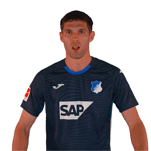 Sport Bundesliga Sticker by TSG Hoffenheim