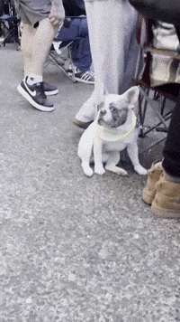 Whats Up Hello GIF by EDGARDUDE