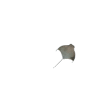 Heart Ocean Sticker by Blue Zoo Aquariums