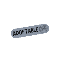 NewCollarCollective rescue adopt ncc adoptable Sticker