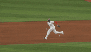 Blue Jays Baseball GIF by Toronto Blue Jays