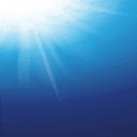 Otc GIF by Instituto Brasileiro de Petróleo e Gás