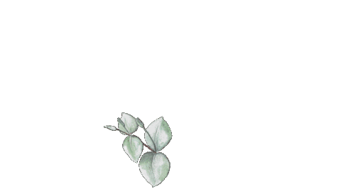 gruenstich giphyupload new post floral posting Sticker
