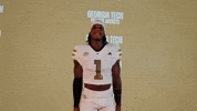 Georgia Tech Football Sport GIF by Georgia Tech Yellow Jackets