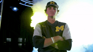 college baseball cws GIF by NCAA Championships