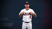 Pro GIF by USA Baseball