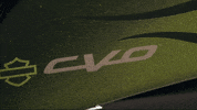 Brand Adventure GIF by Harley-Davidson