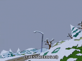 homer simpson car GIF