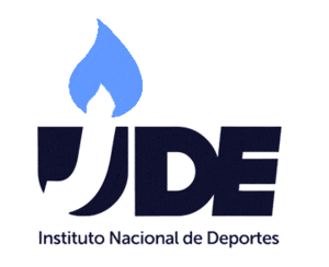 Chile Ind Sticker by LincolnCollegeChile