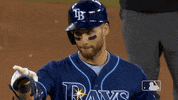 Regular Season Sport GIF by MLB