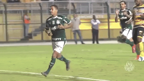 Palmeiras giphygifmaker soccer kiss amor GIF
