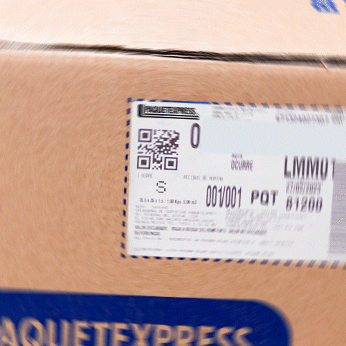 Paquetexpress_Oficial dice se logistica segura GIF