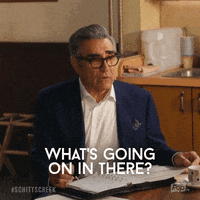 What Is Happening Pop Tv GIF by Schitt's Creek