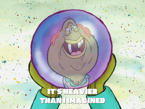 season 6 porous pockets GIF by SpongeBob SquarePants
