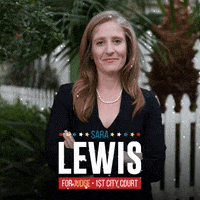 LewisForJudge new orleans team lewis lewis for judge sara lewis GIF