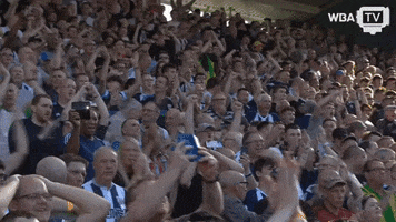 football soccer GIF by West Bromwich Albion