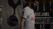 Sport Soccer GIF by Tottenham Hotspur