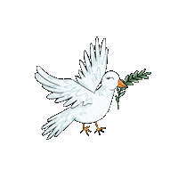 matiastudio bird peace spring fly Sticker