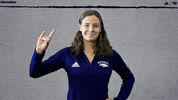 NevadaWolfPack swim dive wolfpack nevada GIF