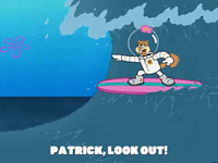 season 6 GIF by SpongeBob SquarePants