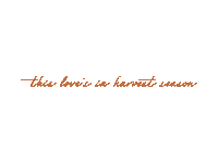 tigirlilygold love country music love song tigerlily Sticker