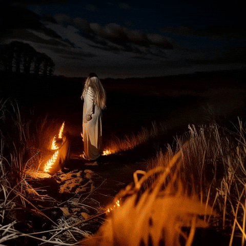 Bg Network GIF by Aleksey Efremov