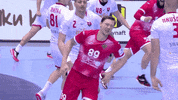 Sport Celebrate GIF by EHF