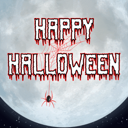 Spider Web Halloween GIF