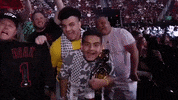 Fan Ufc GIF by ESPN