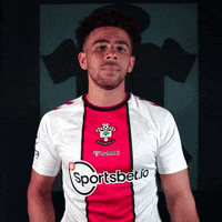 Premier League Football GIF by Southampton FC