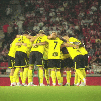 Football Soccer GIF by Widzew Łódź