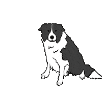 Happy Golden Retriever Sticker by LeapEarsFurnature