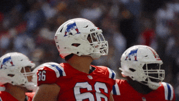 Football Nfl GIF by New England Patriots