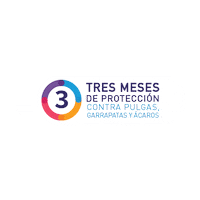 Gatos Perros Sticker by MSD Família Pet