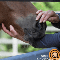 Pet Love GIF by SWR Kindernetz